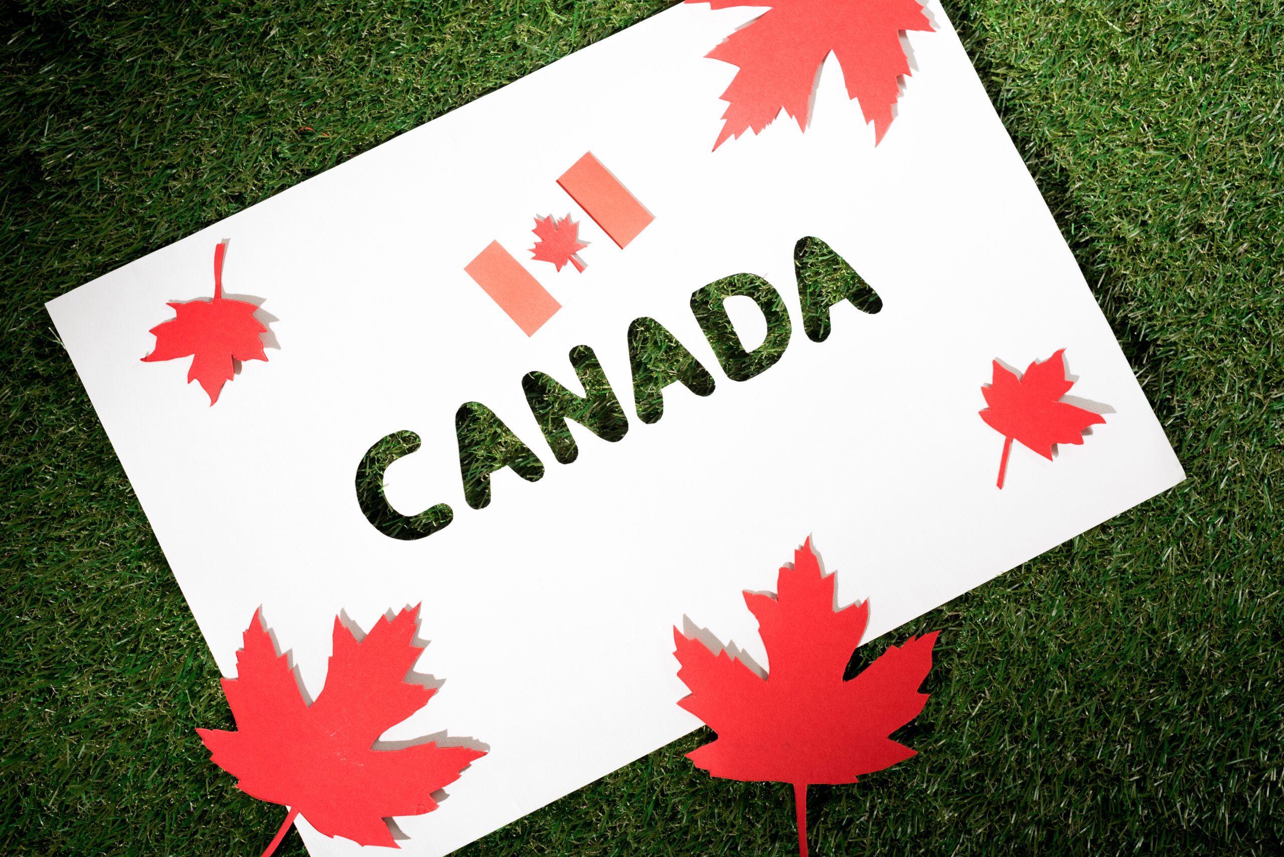 white board with cut out word 'canada' on green grass background  with maple leaves and canadian