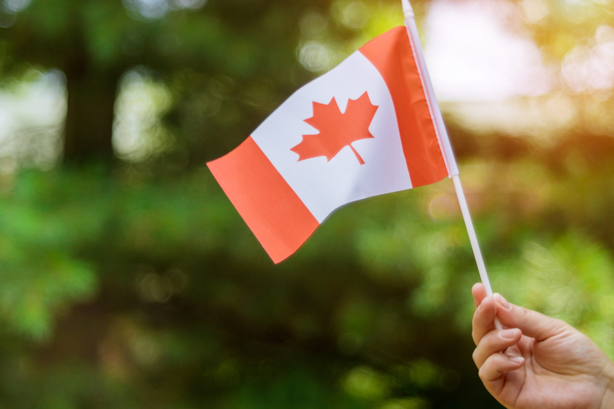 female-hand-holding-a-canadian-flag-to-celebrate-t-2023-11-27-04-54-05-utc-scaled